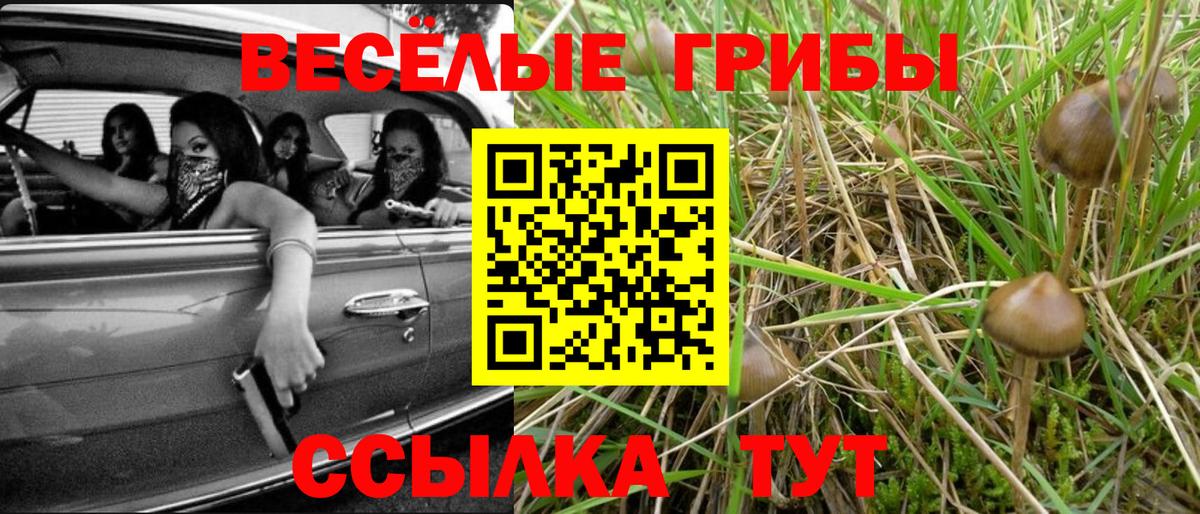 Галлюциногенные грибы мухоморы Самара