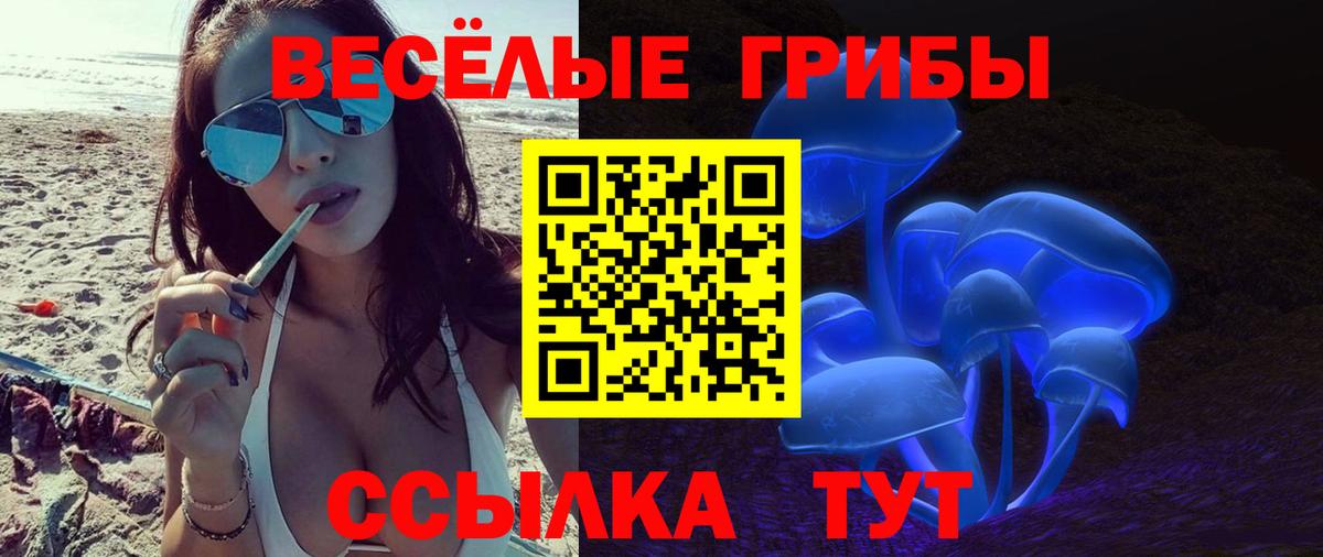 Самара  Галлюциногенные грибы мицелий  Вход с VPN 